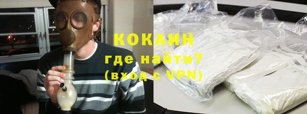 хмурый Алзамай