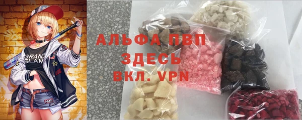 хмурый Алзамай