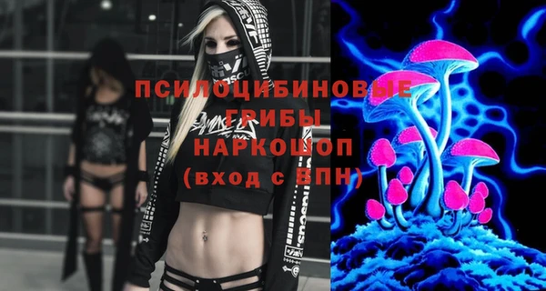 хмурый Алзамай