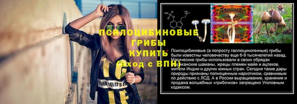 хмурый Алзамай