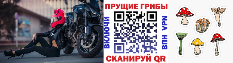 Галлюциногенные грибы ЛСД купить сайты Новоуральск